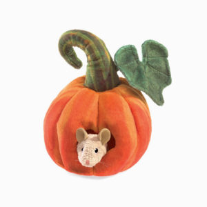 Mouse in a Pumpkin Puppet