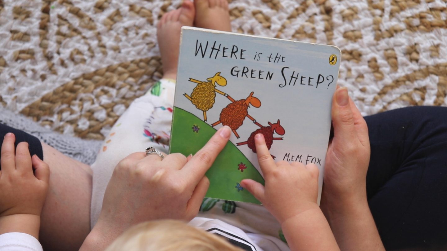 where to buy greenbooks where to buy greenbooks