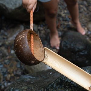723-mini-coco-shell-water-scoop-hover2