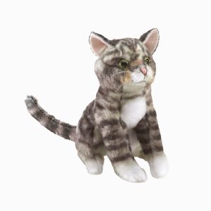 Mini Tabby Cat