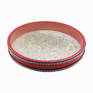 Mano Precussion 10" Ocean Drum