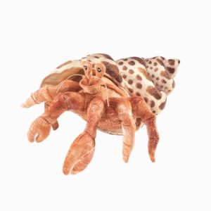 Hermit Crab Puppet