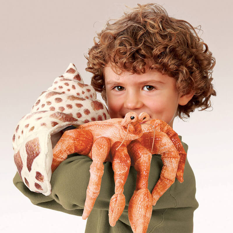 FM2867-Hermit-Crab-hover