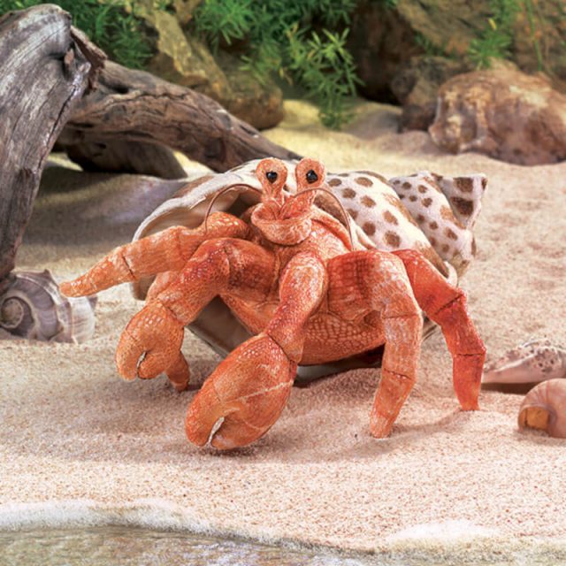 Marionnette Folkmanis Hermit Crab 2867 - Théâtre Et Marionnette à Main